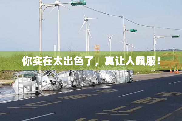 你实在太出色了，真让人佩服！
