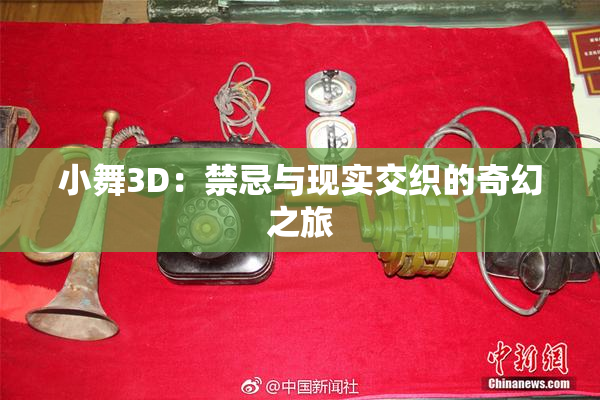 小舞3D：禁忌与现实交织的奇幻之旅