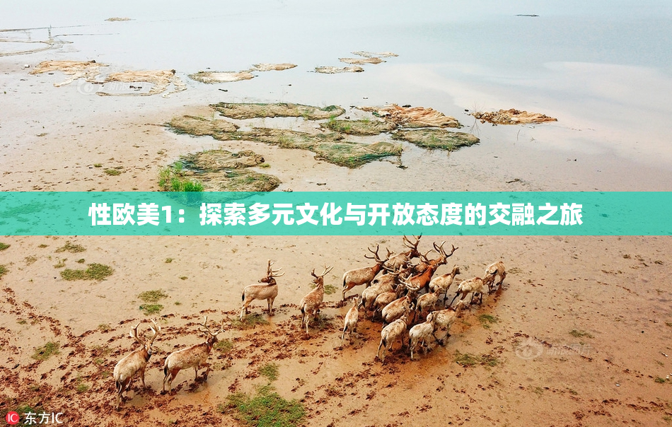 性欧美1：探索多元文化与开放态度的交融之旅