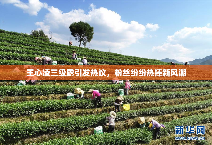 王心凌三级露引发热议，粉丝纷纷热捧新风潮
