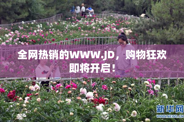 全网热销的WWW.JD，购物狂欢即将开启！