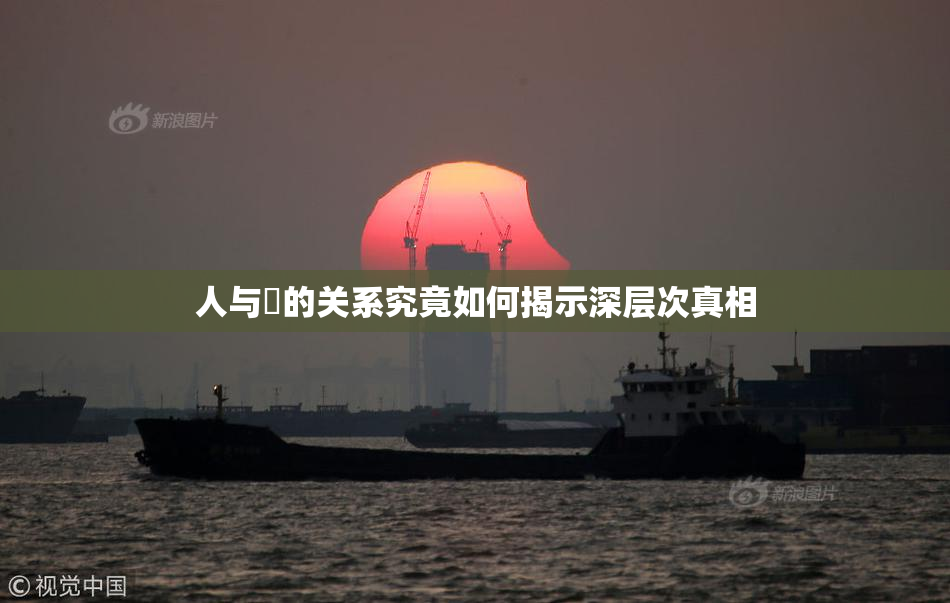 人与嘼的关系究竟如何揭示深层次真相