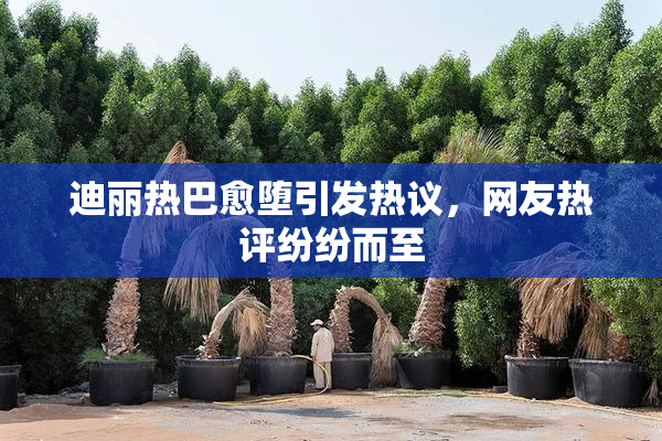 迪丽热巴愈堕引发热议，网友热评纷纷而至
