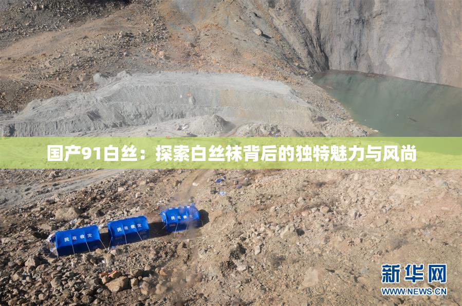 国产91白丝：探索白丝袜背后的独特魅力与风尚