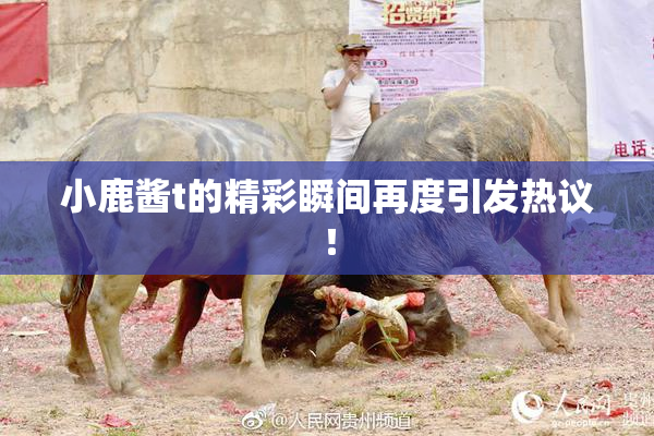 小鹿酱t的精彩瞬间再度引发热议！