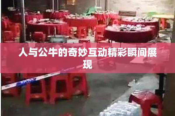 人与公牛的奇妙互动精彩瞬间展现