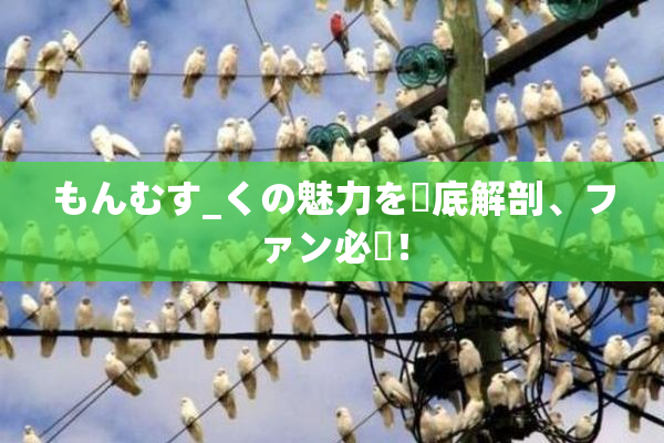 もんむす_くの魅力を徹底解剖、ファン必見！