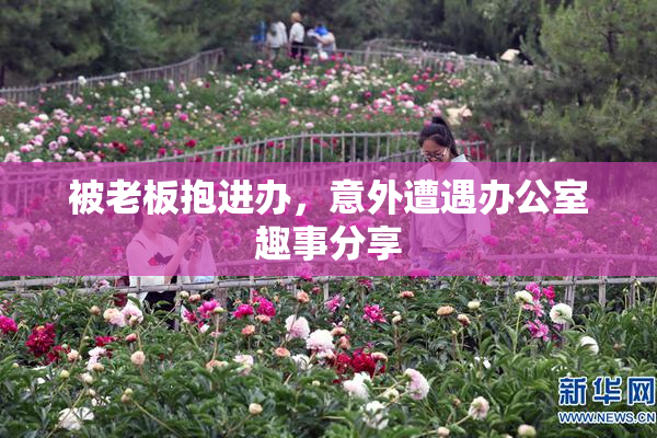 被老板抱进办，意外遭遇办公室趣事分享