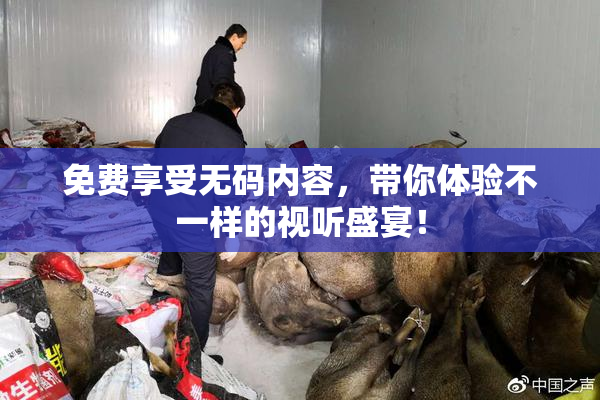 免费享受无码内容，带你体验不一样的视听盛宴！