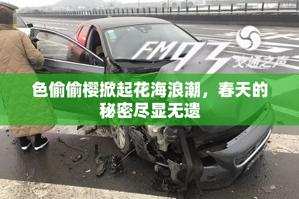 色偷偷樱掀起花海浪潮，春天的秘密尽显无遗