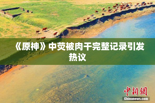 《原神》中荧被肉干完整记录引发热议