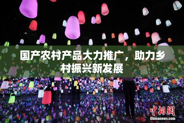 国产农村产品大力推广，助力乡村振兴新发展