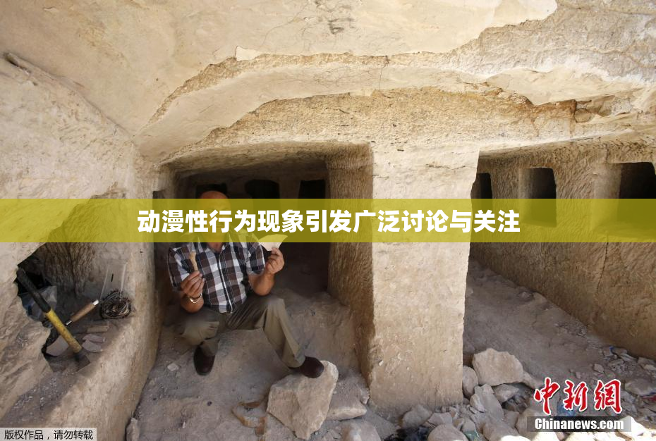 动漫性行为现象引发广泛讨论与关注