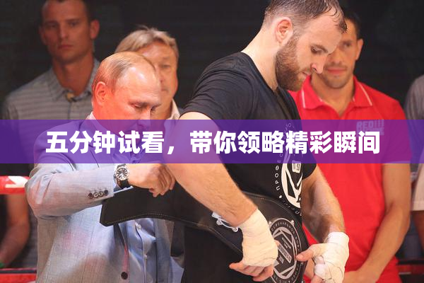 五分钟试看，带你领略精彩瞬间