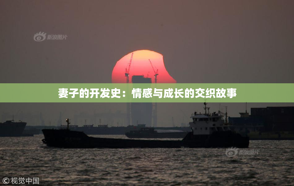 妻子的开发史：情感与成长的交织故事