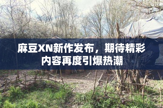 麻豆XN新作发布，期待精彩内容再度引爆热潮