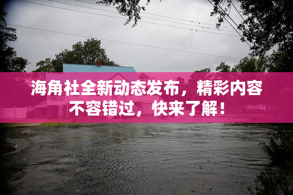 海角社全新动态发布，精彩内容不容错过，快来了解！