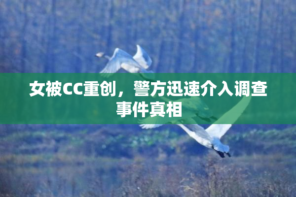 女被CC重创，警方迅速介入调查事件真相