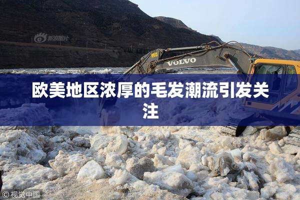 欧美地区浓厚的毛发潮流引发关注