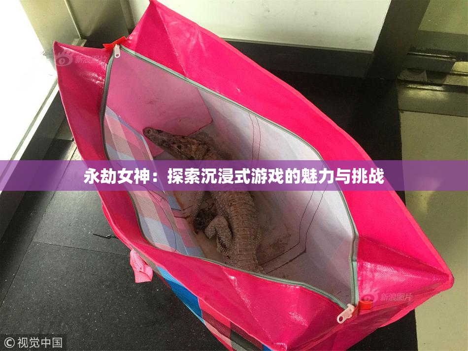 永劫女神：探索沉浸式游戏的魅力与挑战