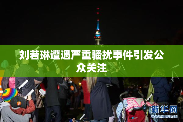 刘若琳遭遇严重骚扰事件引发公众关注