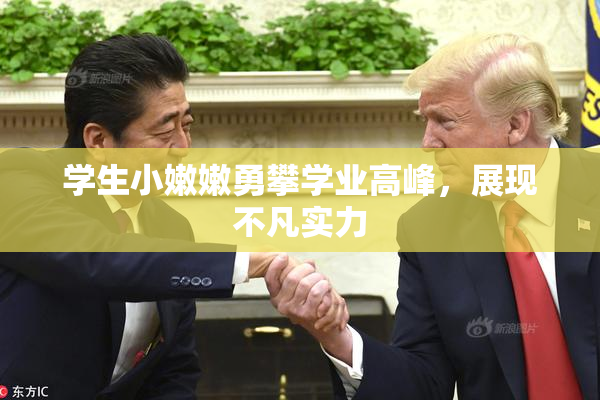 学生小嫩嫩勇攀学业高峰，展现不凡实力