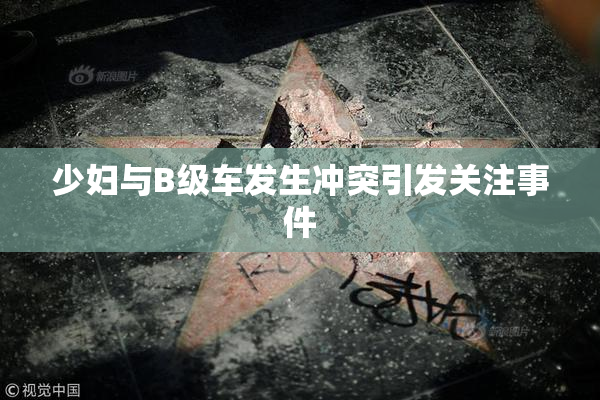 少妇与B级车发生冲突引发关注事件