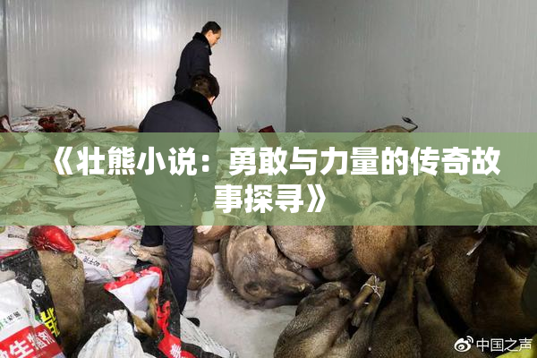《壮熊小说：勇敢与力量的传奇故事探寻》