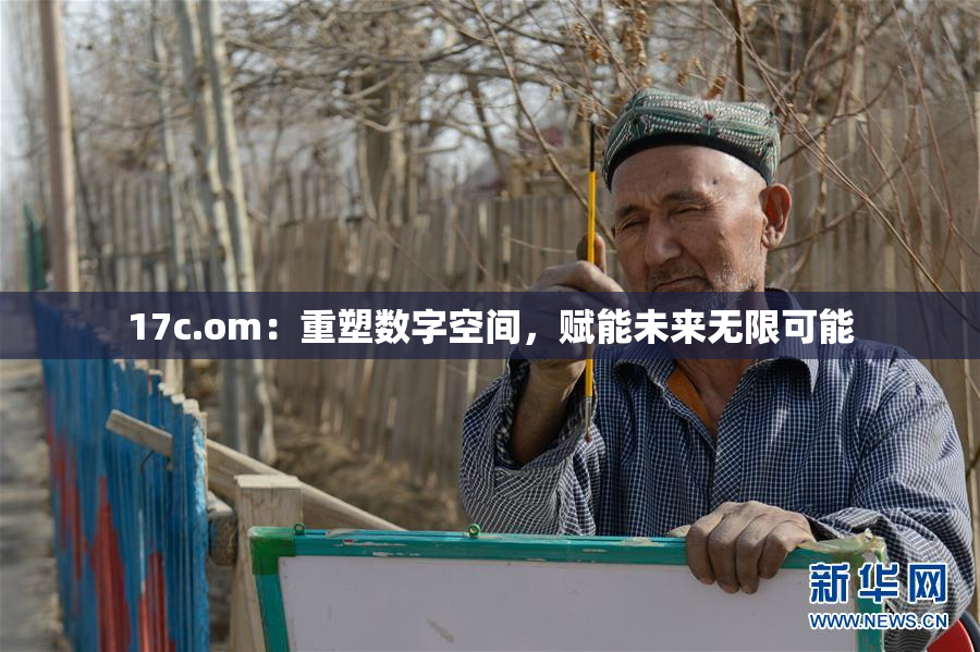 17c.om：重塑数字空间，赋能未来无限可能