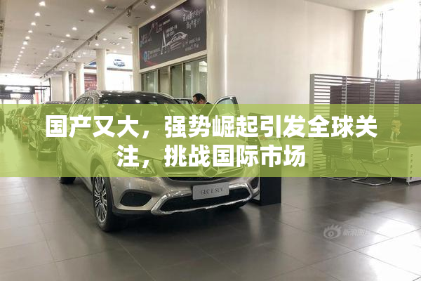 国产又大，强势崛起引发全球关注，挑战国际市场