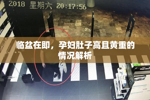 临盆在即，孕妇肚子高且黄重的情况解析