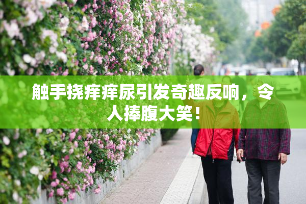 触手挠痒痒尿引发奇趣反响，令人捧腹大笑！
