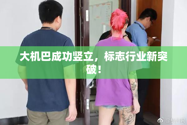大机巴成功竖立，标志行业新突破！