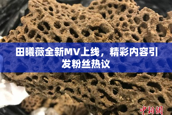 田曦薇全新MV上线，精彩内容引发粉丝热议