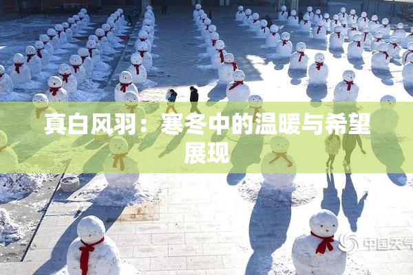 真白风羽：寒冬中的温暖与希望展现
