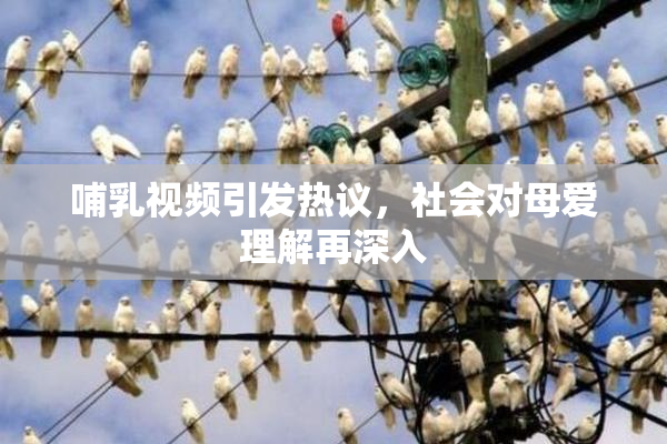 哺乳视频引发热议，社会对母爱理解再深入