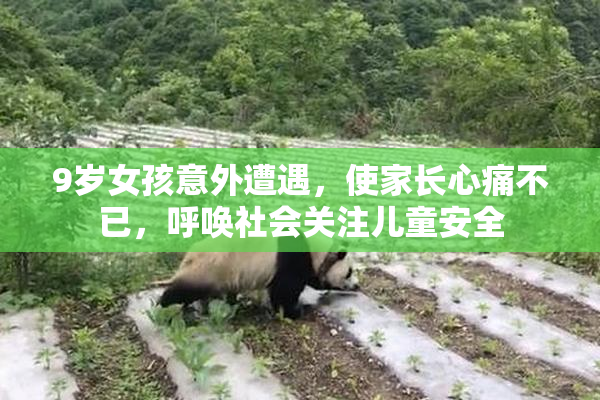 9岁女孩意外遭遇，使家长心痛不已，呼唤社会关注儿童安全