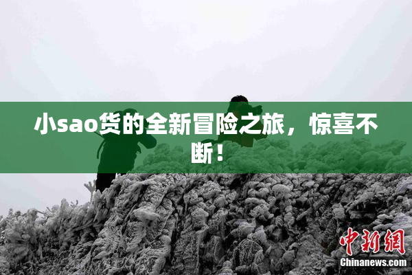 小sao货的全新冒险之旅，惊喜不断！