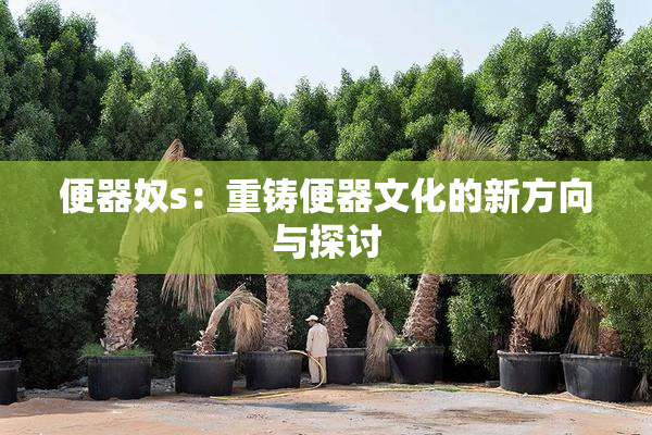 便器奴s：重铸便器文化的新方向与探讨