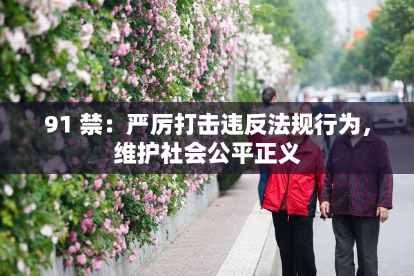 91 禁：严厉打击违反法规行为，维护社会公平正义