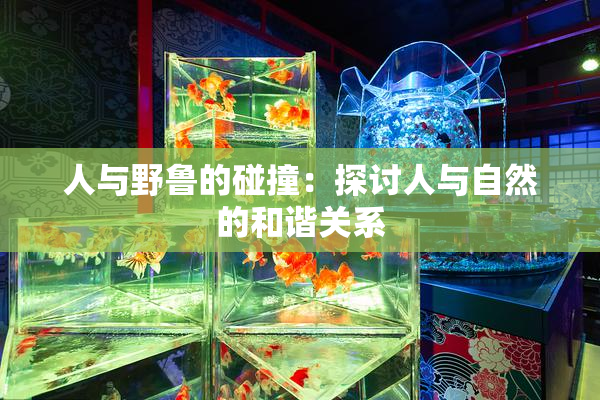 人与野鲁的碰撞：探讨人与自然的和谐关系