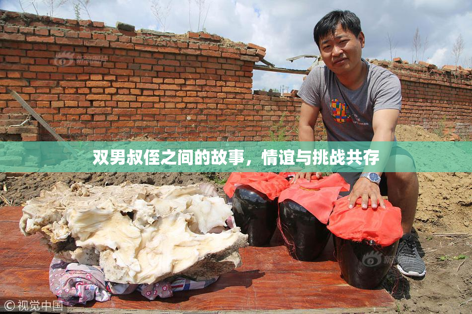 双男叔侄之间的故事，情谊与挑战共存