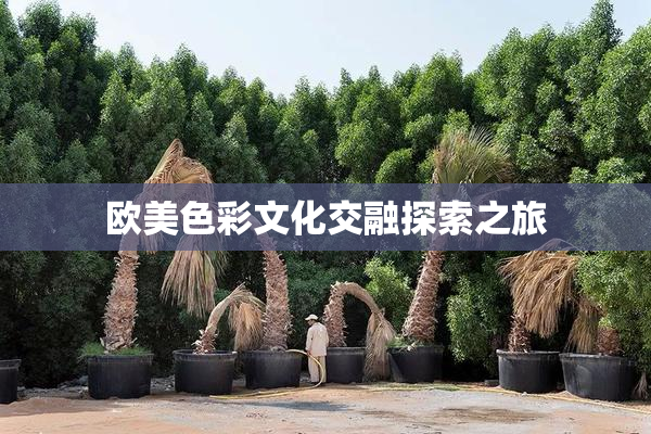 欧美色彩文化交融探索之旅