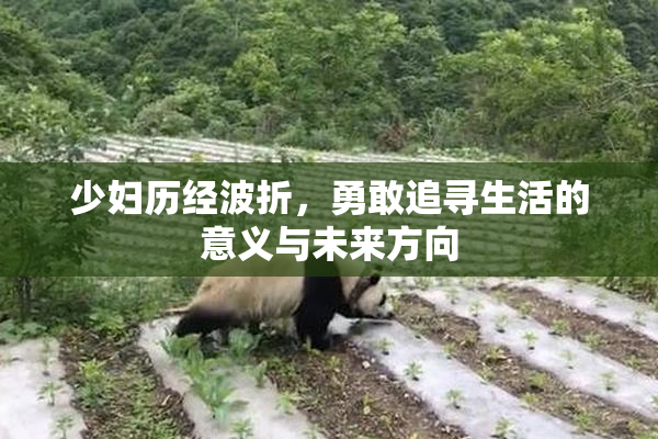 少妇历经波折，勇敢追寻生活的意义与未来方向