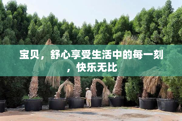 宝贝，舒心享受生活中的每一刻，快乐无比