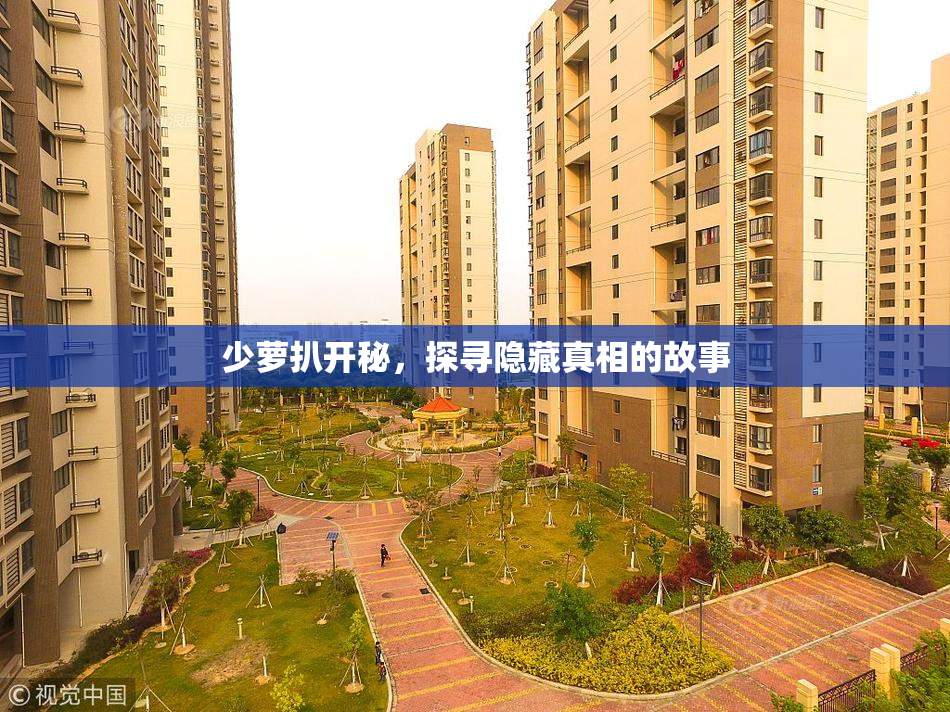 少萝扒开秘，探寻隐藏真相的故事