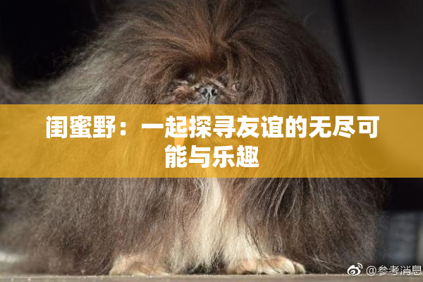 闺蜜野：一起探寻友谊的无尽可能与乐趣