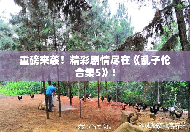 重磅来袭！精彩剧情尽在《乱子伦合集5》！