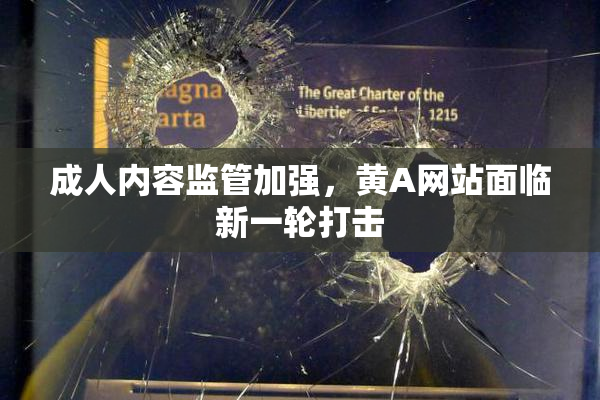 成人内容监管加强，黄A网站面临新一轮打击