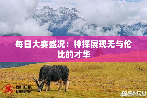 每日大赛盛况：神探展现无与伦比的才华